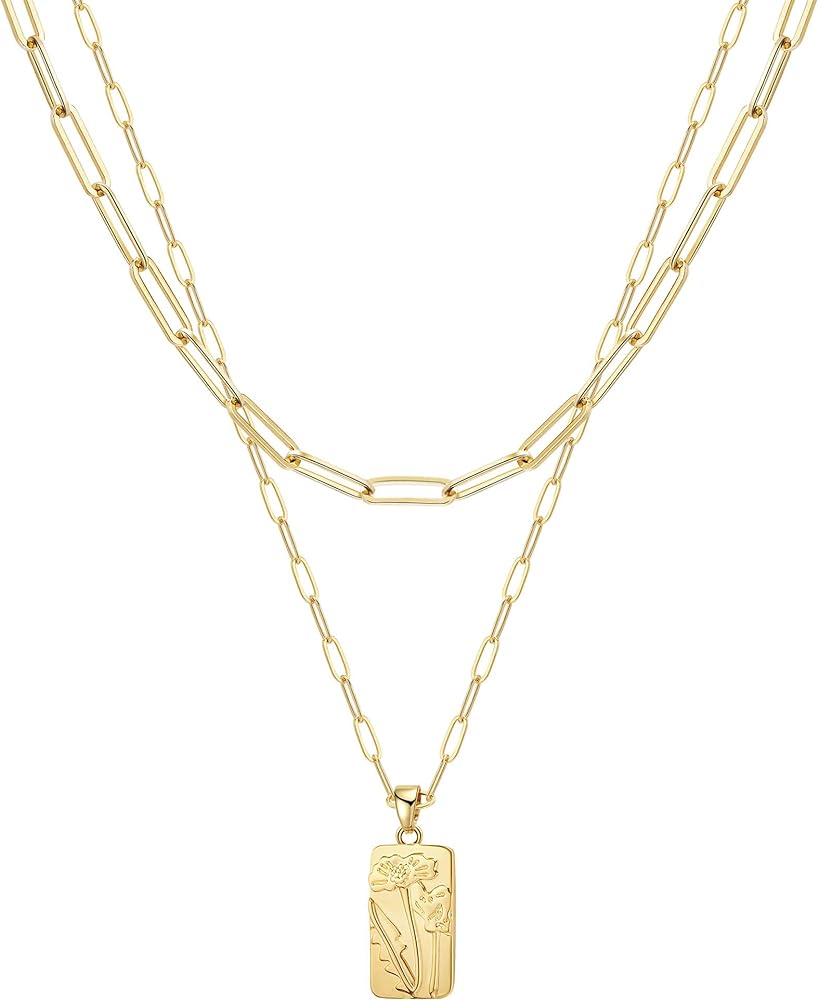 Ava Riley Dainty Gold Necklace for Women - Layered Choker Statement Necklaces for Women Trendy - 14K Gold Silver Long Necklace Jewelry Set