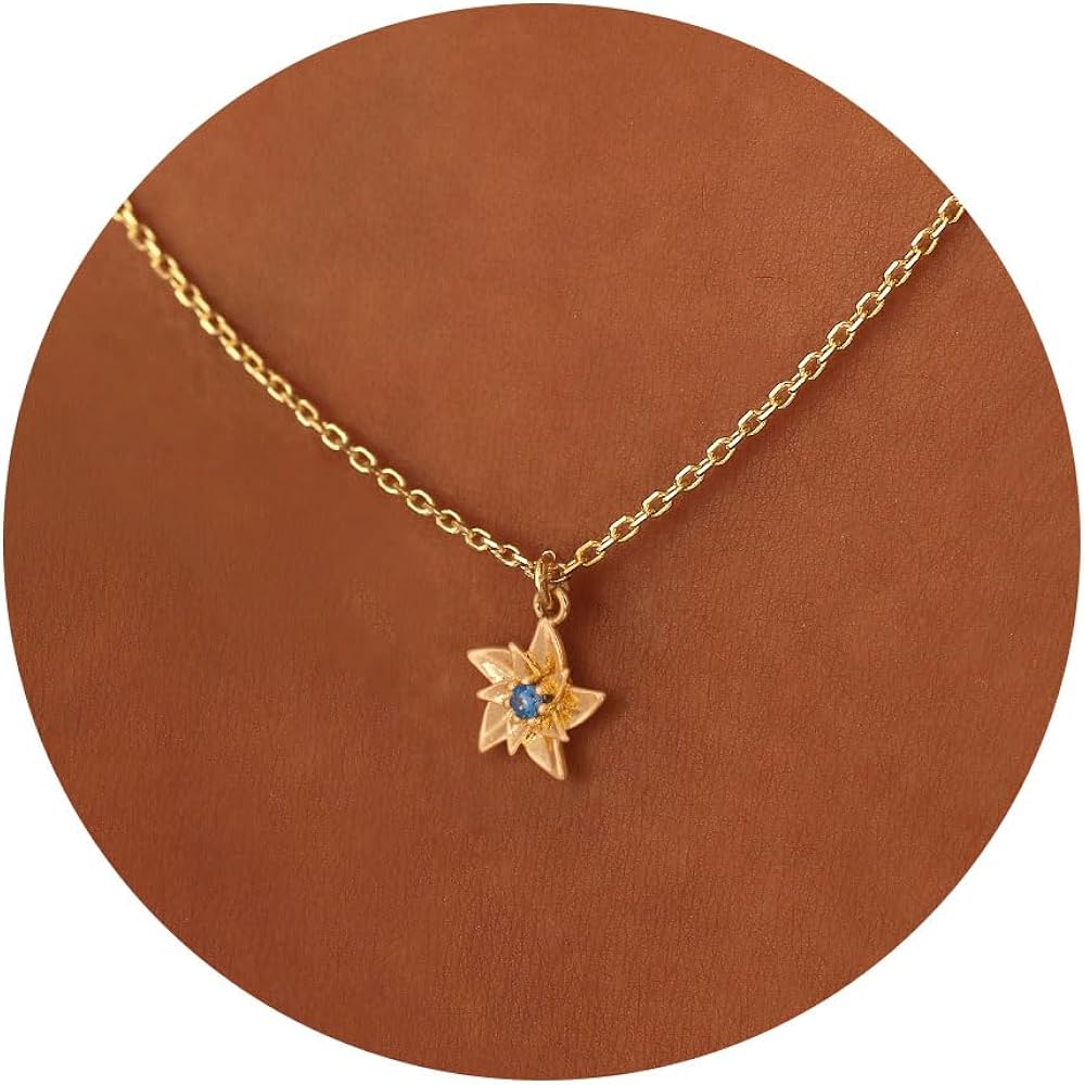 VRIUA Birth Flower Necklace 14K Gold Plated Birthstone Necklace for Women Dainty Birth Month Flower Necklace Personalized Jewelry